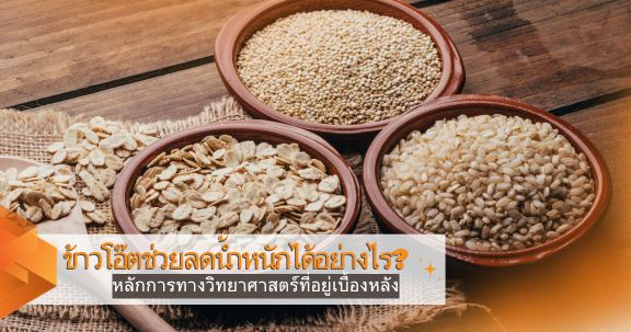 ข้าวโอ๊ตช่วยลดน้ำหนักได้อย่างไร? หลักการทางวิทยาศาสตร์ที่อยู่เบื้องหลัง